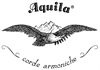 Aquila