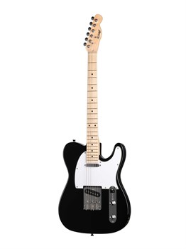 HEG350BK Электрогитара Telecaster SS Homage HEG350BK-1 - фото 7841