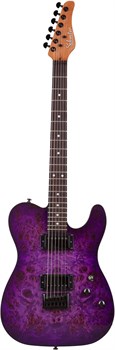 Schecter PT STANDARD PBB Элетрогитара PT STANDARD PBB (3956) - фото 23147