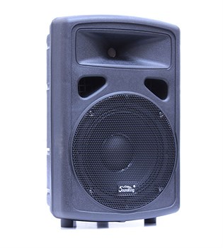 FP0210 Пассивная акустическая система, 200Вт, Soundking FP0210 - фото 23879