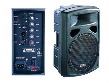 FP0210A Активная акустическая система, 100Вт, Soundking FP0210A - фото 23880
