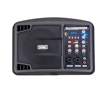PSM05R Монитор активный, 150Вт, Soundking PSM05R - фото 23935