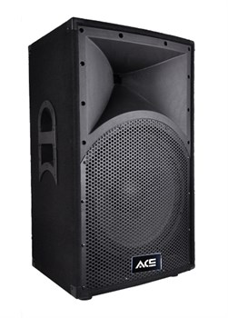 TA-12 Пассивная акустическая система, 300Вт, Ace Audio TA-12 - фото 23953