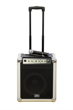 PA10W Акустическая система аккумуляторная с микрофоном, 50Вт, Soundking PA10W - фото 24557