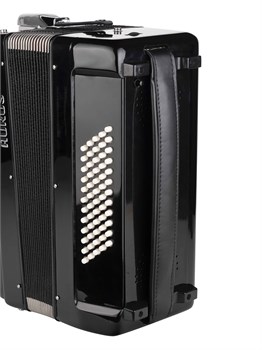 JH2011D-BLACK Аккордеон 34/60/5, черный, с футляром, Aurus JH2011D-BLACK - фото 27759