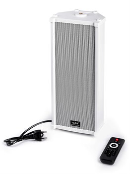 DS-20E-A Акустическая система активная, 20 Вт, Bluetooth, TADS DS-20E-A - фото 27949