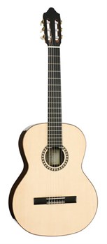 Romida-RD-S-CASE Artist Series Классическая гитара с кейсом, Kremona Romida-RD-S-CASE - фото 31339