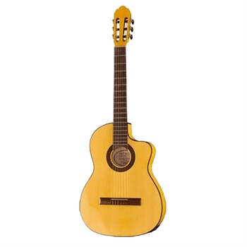 N1105CTW Flamenco CTW Классическая гитара 4/4, с вырезом и звукоснимателем, Hora N1105CTW - фото 31491