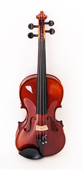 193wA-4/4 Скрипка концертная Strunal 193wA-4/4 - фото 34638