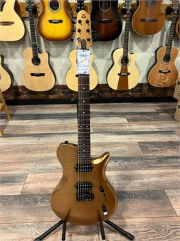 Covenant I-STD 100 gold электрогитара в чехле с аксессуарами I-STD 100 gold - фото 35010