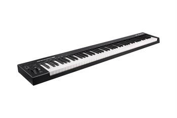 M-audio Keystation 88 MK3 MIDI клавиатура Keystation 88 MK3 - фото 35119