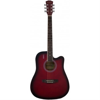 Акустическая гитара Elitaro E4120 RDS (не такая как все) E4120 RDS U - фото 35830