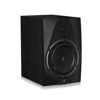Icon DT-8S Студийный монитор DT-8S - фото 37015