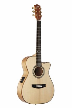 Maton EBG808C-MIC-FIX Электроакустическая гитара EBG808C-MIC-FIX - фото 37454