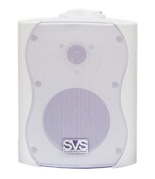 SVS Audiotechnik WS-20 White Громкоговоритель настенный, динамик 4", драйвер 0.5", 20Вт (RMS) WS-20 White