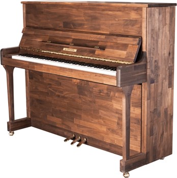 Aurora G-20 Пианино акустическое, черное G-20