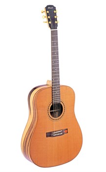 Strunal D877 Гитара акустическая, вестерн-дредноут D877