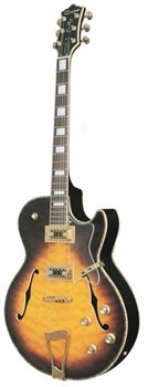 Caraya E275VS Электрогитара полуакустика E275VS