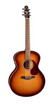 Seagull 032907 Entourage Rustic Mini-Jumbo QIT Электро-акустическая гитара 032907