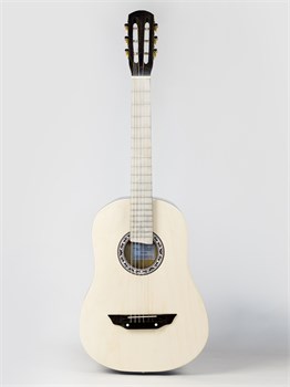 АККОРД ACD-39A-74-EC Акустическая гитара, цвет эбен/шампань ACD-39A-74-EC