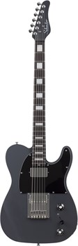SCHECTER PT EX DORIAN GRAY DG - Электрогитара PT EX DORIAN GRAY DG