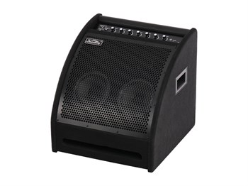 Soundking DS200 Монитор для электронной ударной установки, 200Вт DS200