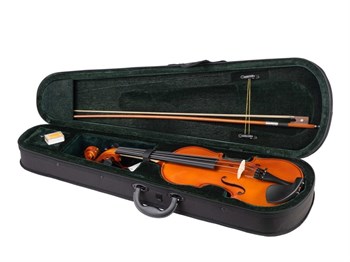 Fleet FLT-VP4/4 Скрипка в комплекте FLT-VP4/4