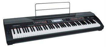 Medeli SP4200-BK Цифровое пианино, без стойки, черное SP4200-BK