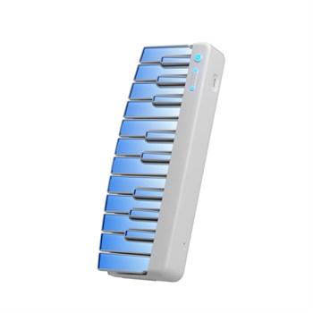 Enya Cyber-G-Keyboard-module/WH Клавишный модуль для гитарного синтезатора Cyber-G, белый Cyber-G-Keyboard-module/W