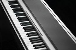 Antares W-290 WH цифровое фортепиано с приложением W-290 WH