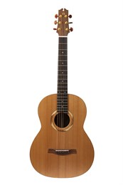 N17OSMLNE №17 Электроакустическая гитара, NewTone N17OSMLNE