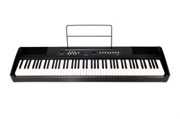 Ringway RP-25 Цифровое фортепиано RP-25