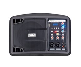 PSM05R Монитор активный, 150Вт, Soundking PSM05R