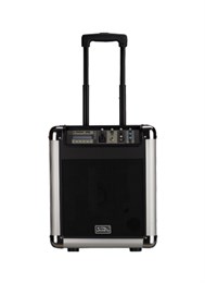 PA8M Акустическая система с MP3 и микрофоном, портативная, аккумуляторная, 25Вт, Soundking PA8M