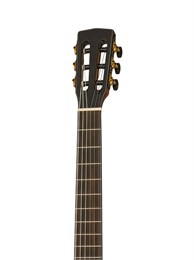 Solencanto-WCASE-WB Masterpiece Sol Encanto Классическая гитара со звукоснимателем, с футляром, Cort Solencanto-WCASE-WBL