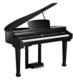 Kurzweil KAG100 EP Цифровой рояль KAG100 EP