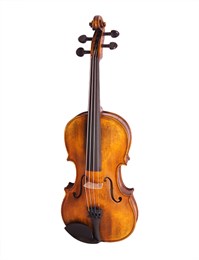 176-4/4 Скрипка концертная 4/4, Strunal 176-4/4