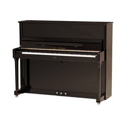 190046-1CK Performance P121 Пианино акустическое, черное, фурнитура хром, W.Steinberg 190046-1CK