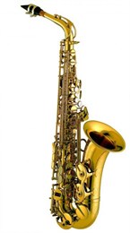Amati AAS63 Саксофон Альт Eb AAS63