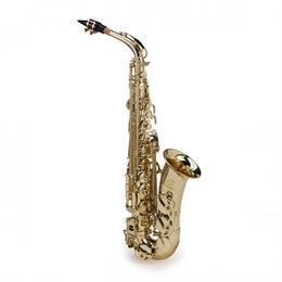 Soundsation SALSX-20 (S897S) Саксофон альт Eb SALSX-20