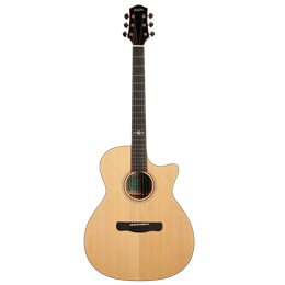 Aion X20MTE Трансакустическая гитара X20MTE
