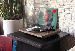 Проигрыватель виниловых дисков Phaze Audio Diana Цвет: Орех [Walnut] XART114482-u1