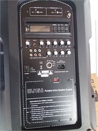 Soundking WJ15A Акустическая система с 2 радиомикрофонами, портативная с аккумулятором WJ15A