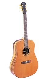 Strunal D873 Гитара акустическая, дредноут D873