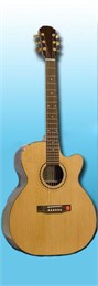 Strunal JC773 Акустическая гитара джамбо с вырезом JC773