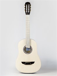 АККОРД ACD-39A-74-EC Акустическая гитара, цвет эбен/шампань ACD-39A-74-EC