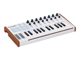 Laudio TUNAMINI MIDI-контроллер, 25 клавиш TUNAMINI