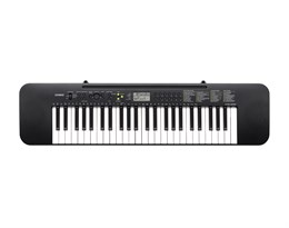 Синтезатор Casio CTK-240, 49 клавиш CTK-240