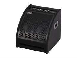Soundking DS200 Монитор для электронной ударной установки, 200Вт DS200