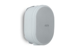 Biamp OVO5T-W - Настенная акустическая система 912.1443.900/911.1443.900